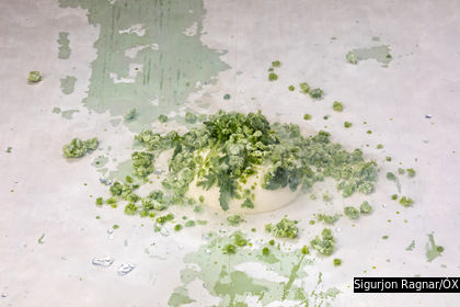 Travel Guide Iceland The Michelin Green Guide