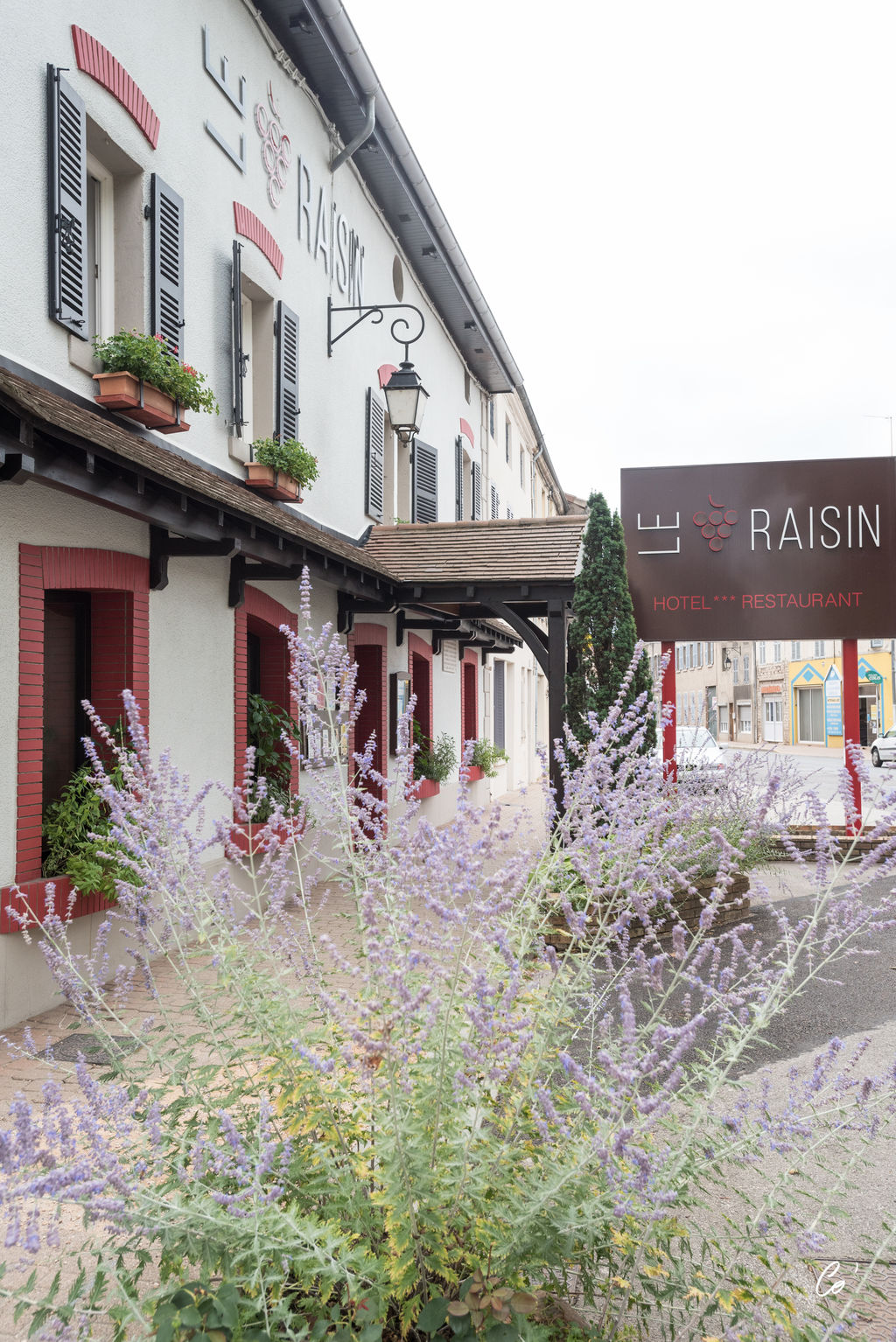 Le Raisin Restaurant PontdeVaux ViaMichelin